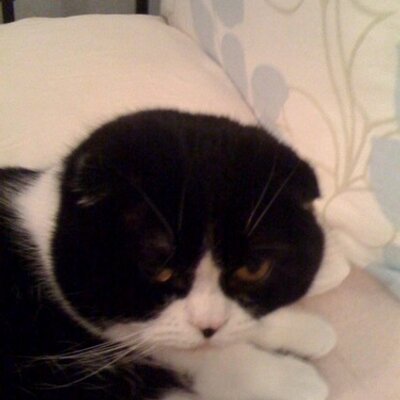 ホーク プレミアムアウトレットって 意味矛盾してるよな
