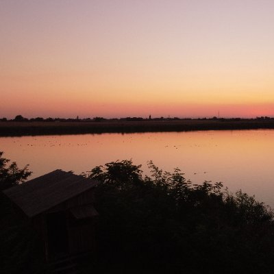 SatmariAtila's profile picture. 