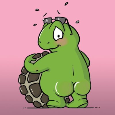 0xNakedturtle Profile Picture