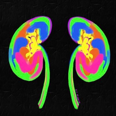 Compiling global renal insights: Stay current on kidney news, research, and updates tailored for Nephrologists and other renal specialists to enhance expertise.