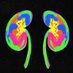 Renal Professionals Worldwide (@AusKidneys) Twitter profile photo