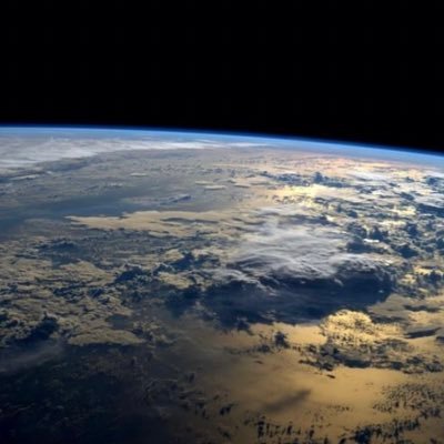 iillli16's profile picture. 