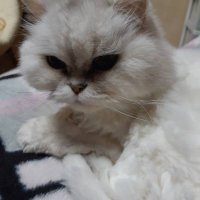 UCのじかん🚉 (@wvkmc3eezdoteim) 's Twitter Profile