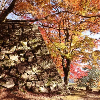 総攻略数312城/100名城(67/100)/続100名城(50/100)/城マニアの院生。城パンフレット収集家。近代建築、戦争遺跡、寺社、土木施設、廃墟なども好みます。専攻は城ではない。 #大板橋主義 #明治天皇行在所碑同好会