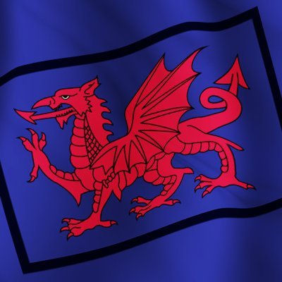 The official Twitter page for Clwyd and Gwynedd Army Cadet Force #ArmyCadets #ACF #Clwyd #Gwynedd #YouthOrganisation
