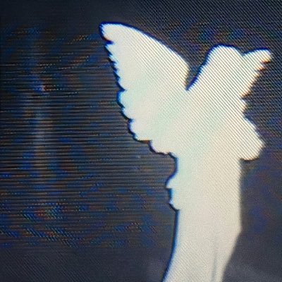 LingWang320036's profile picture. 