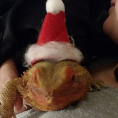 howlingwolfaj's profile picture. Just here to look at art