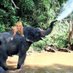 マスクド・ゾウさん🐘 (@symbolof_wealth) Twitter profile photo マスクド・ゾウさん🐘 (@symbolof_wealth) Twitter profile photo