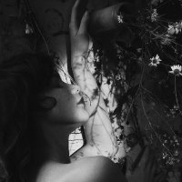 MSOULART (@msoulart) 's Twitter Profile