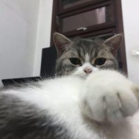 Hip Giang ❤️ Memecoin (@hipgiang2) 's Twitter Profile