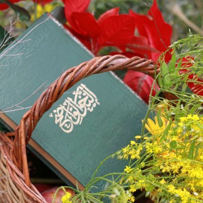 morrison_m90696's profile picture. 