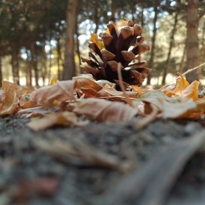 bozkut81's profile picture. 