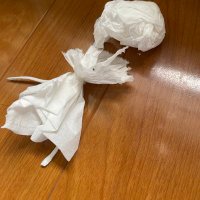 あにー (@ani__1129) 's Twitter Profile