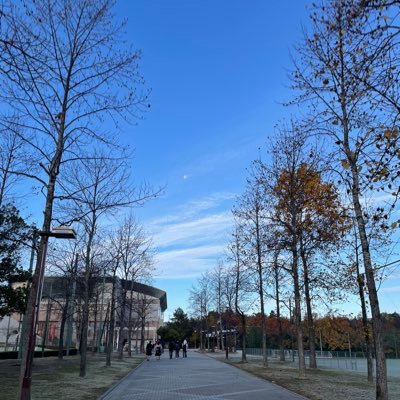 いつみんだお〜さんのプロフィール画像