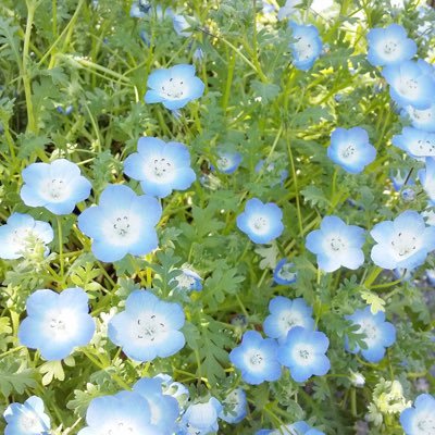 蒼ろくさんのプロフィール画像