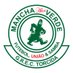 Mancha Alvi Verde (@torcidamv83) Twitter profile photo