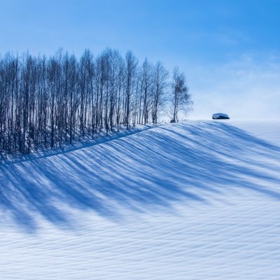 北海道の秘境在住。（茨城県つくば市出身）
小説、朗読用台本執筆。シナリオライター、Webライターなど。
文苑堂第1回54字の物語コンテスト最優秀賞＆特別賞。
note創作大賞2023最終候補。第1、2回Solispia文学賞最終候補。
ピアニスト、作曲家の日吉真澄さんのファン。