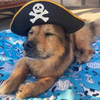 truegraphx17's profile picture. Apparel Designer