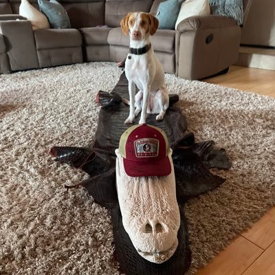stephseck23's profile picture. fsu