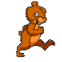 buyhamsterdance's profile picture. Dance the night away.