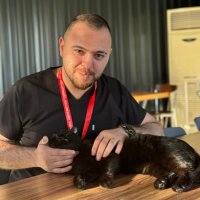 sadık çorman (@sadikcorman) 's Twitter Profile