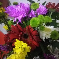 Nurr)💡🇹🇷🇹🇷🇹🇷💡 (@ustaogretici121) 's Twitter Profile Photo