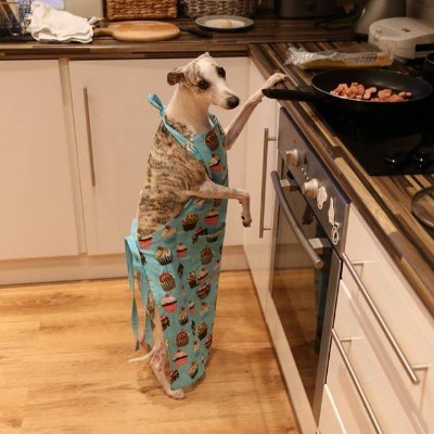 Franz198573's profile picture. 