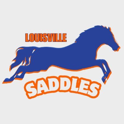 LVSaddles Profile Picture