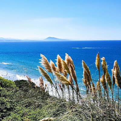 OKKOBAB's profile picture. 