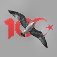 Yüksekteki Martı(@YkMrti) 's Twitter Profile Photo