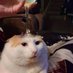 Kedi (@gordugumkedi) Twitter profile photo Kedi (@gordugumkedi) Twitter profile photo