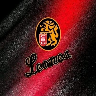 Leones del caracas y nada más🔥🦁