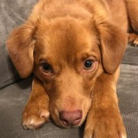Nate (@iambast1) 's Twitter Profile