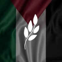 Hanemeslem (@hanemeslem) Twitter profile photo