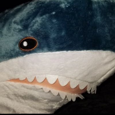 nikogori_shark Profile Picture