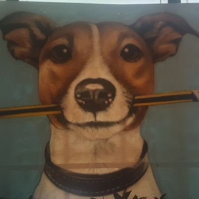 Mendo2023's profile picture. 