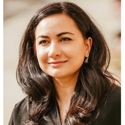Politics and International Relations Researcher