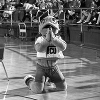 CHEEZ-IT Bowl Champion 🐸 (@cheezitchamptcu) 's Twitter Profile