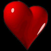 زير النساء (@hassanhass6110) 's Twitter Profile