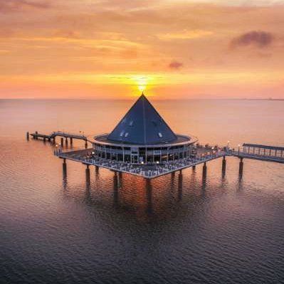 touchipipi6136's profile picture. So enamoured of that of whom.