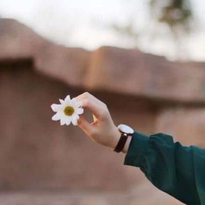 zeynepgurssoy's profile picture. 