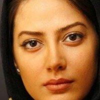 هبه القطب (@braboyandy11516) 's Twitter Profile