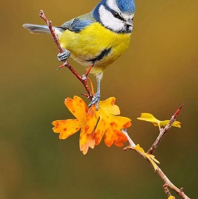 la lumière dans vôtre âme est plus grande que les ténèbres❤️ (English mother tongue, pardon pour les fautes de français!)