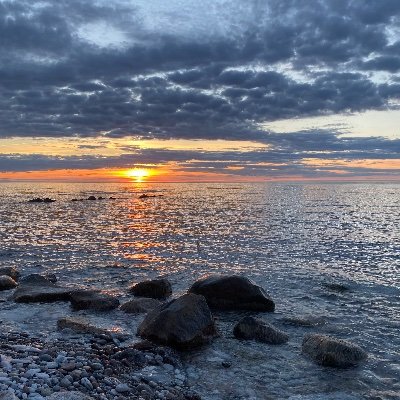 PijaMaria157933's profile picture. ✝️ Numera absolut till höger! Leve Ukraina🇺🇦Stöd t🇮🇱Israels försvar fullt ut!! Lägg ner vänsterstyrda SVT/SR! Mamma Mormor Katt- o  hundbetjänt o akadem.utb