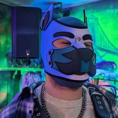 NSFW 🔞 | 25 | They/Them | Banner by @GreysonVulf | Pan |
Happy open relationship w/ Pup Panth | Co-Collared by Pup Grey & Pup Panth ⛓️ | Switch and Vers 💙🩵🤍