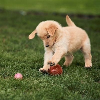 KamauSarange's profile picture. 