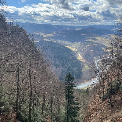 seabiscuit_20's profile picture. d̶a̶i̶l̶y̶ photos of Warsaw