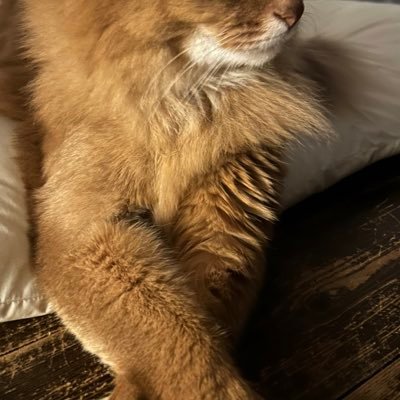 ou0524's profile picture. uec24 Ⅰ類