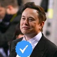 Elon Musk(@muske2710) 's Twitter Profileg