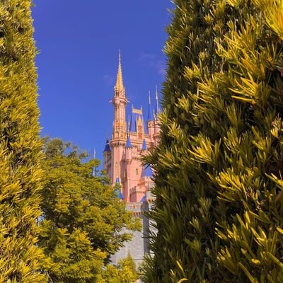 methlab209's profile picture. 